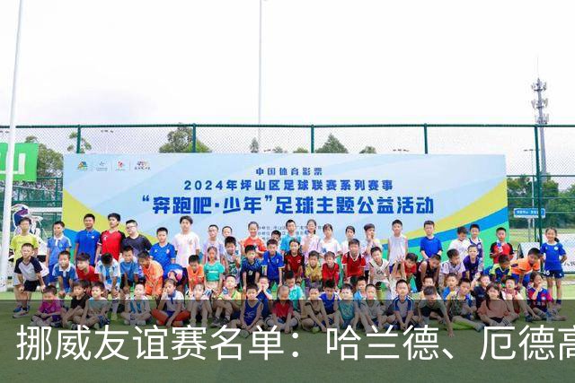 挪威友谊赛名单：哈兰德、厄德高领衔
